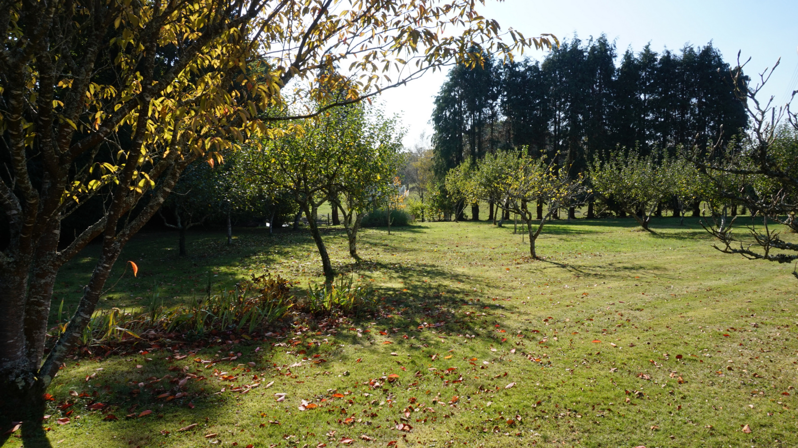 Image_, Maison, Rédené, ref :7818