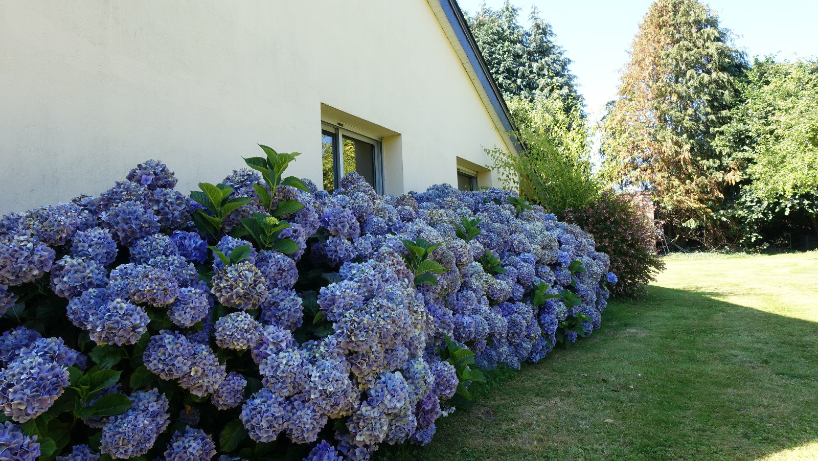 Image_, Maison, Querrien, ref :11016